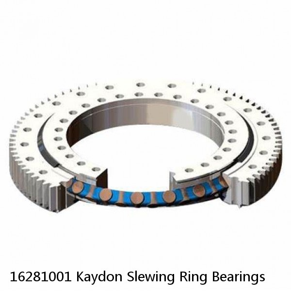 16281001 Kaydon Slewing Ring Bearings #1 image