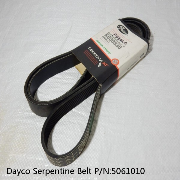 Dayco Serpentine Belt P/N:5061010 #1 image